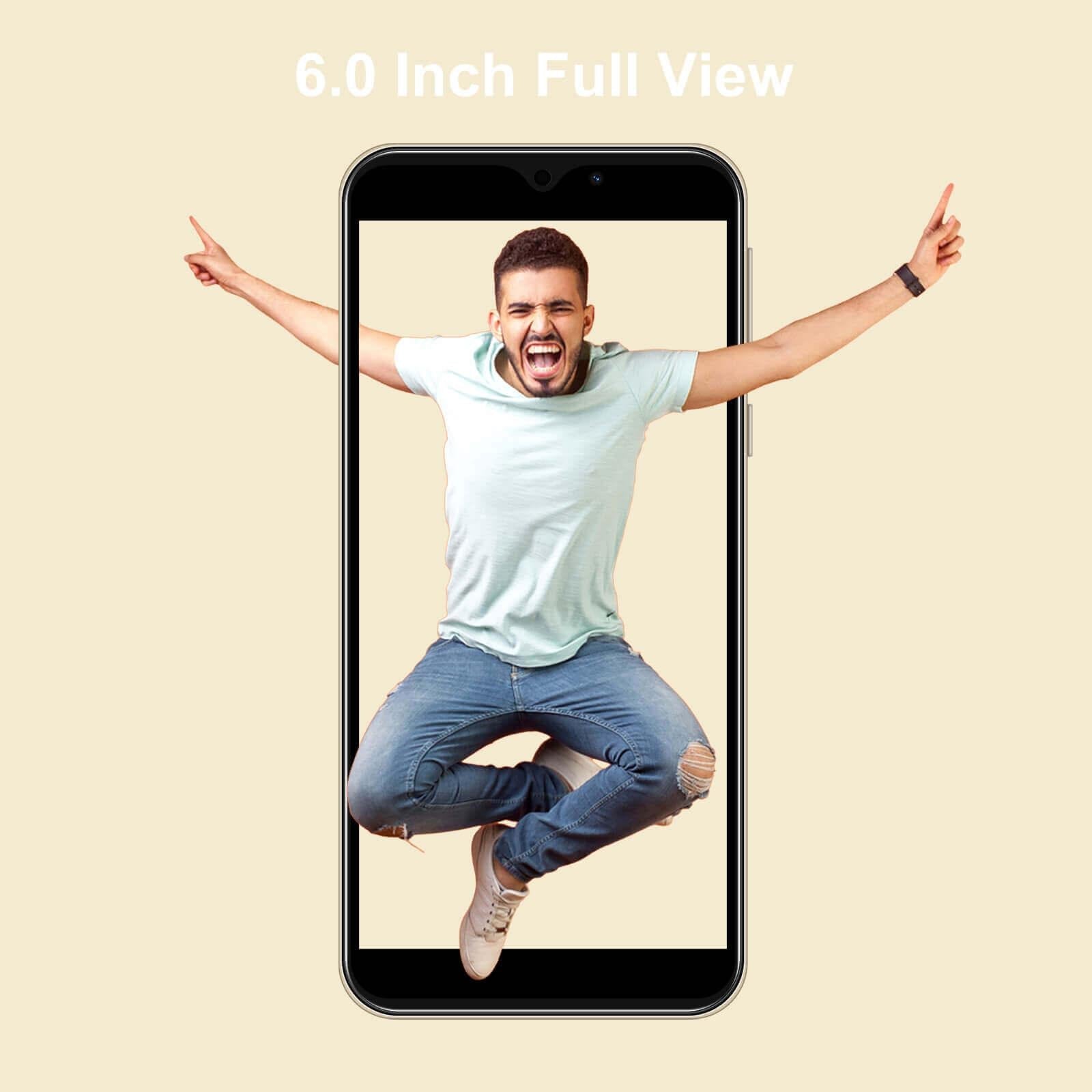 Cost-effective and Most worthwhile XGODY X15 | Quad Core Android 4G Mobile Phone, 6.0 Inch, 32GB, Dual SIM Unlocked, Beauty Camera - XGODY