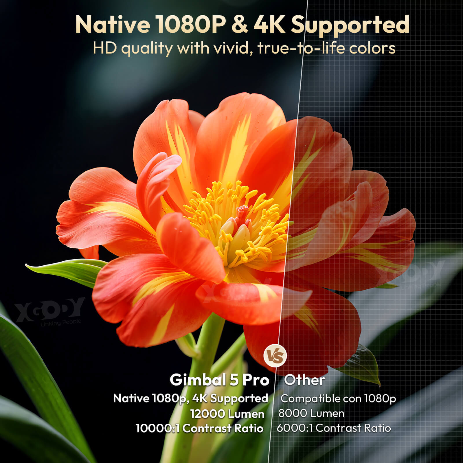 Gimbal 5 PRO: Portable Projector Android 14.0, Native 1080P, WiFi 6 & Bluetooth 5.4 Built-in Stereo Speaker